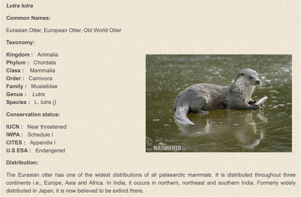 word image 41248 2 6