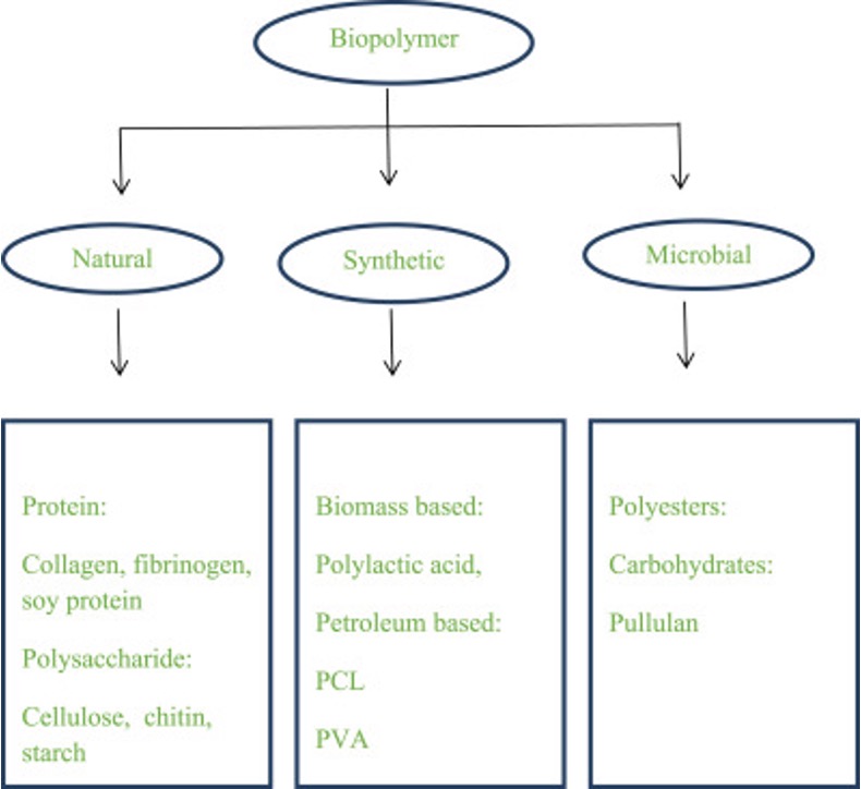 Daily Current Affairs UPSC: News Based MCQs Quiz | 27th September 2025 4 word image 44199 3