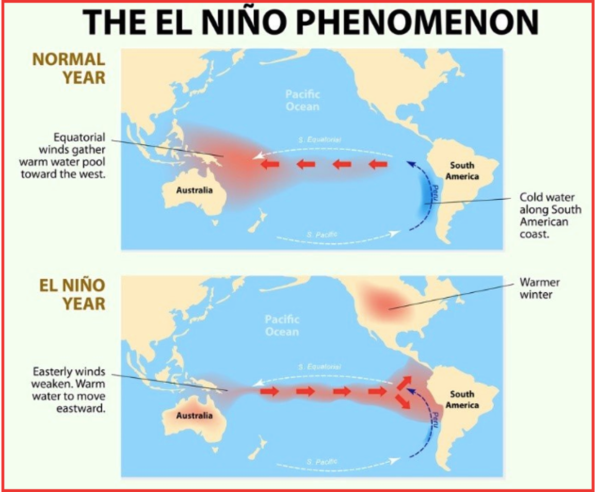Daily Current Affairs UPSC: News Based MCQs Quiz | 1st October 2025 5 word image 44216 4