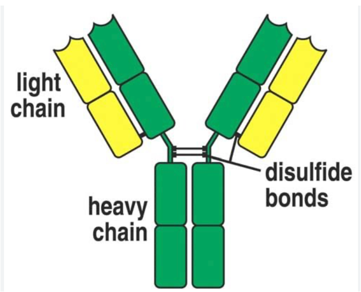 Daily Current Affairs UPSC: News Based MCQs Quiz | 7th October 2025 2 word image 44264 1