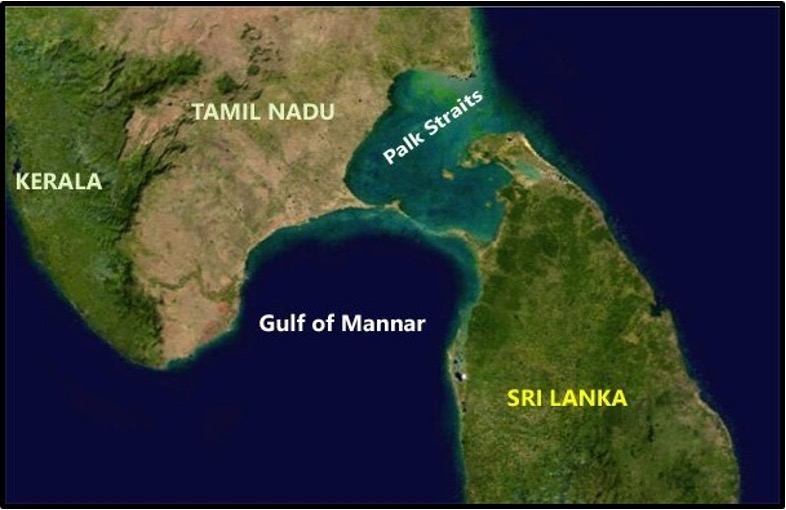 Daily Current Affairs UPSC: News Based MCQs Quiz | 10th October 2025 2 word image 44295 1