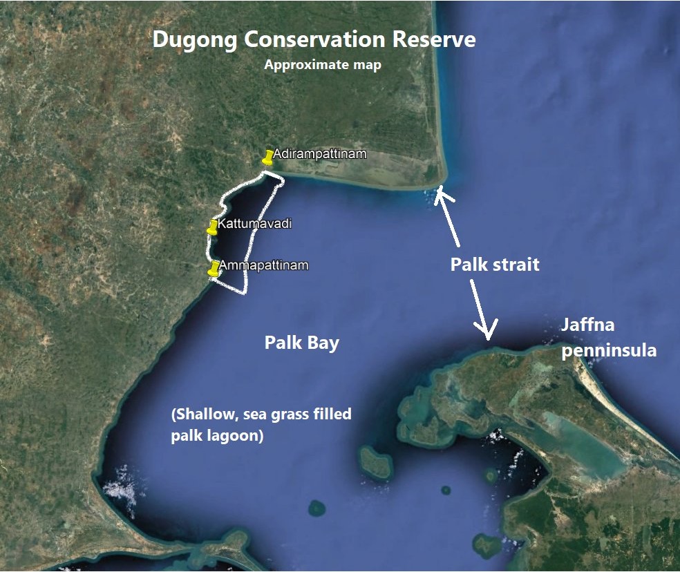Daily Current Affairs UPSC: News Based MCQs Quiz | 10th October 2025 3 word image 44295 2