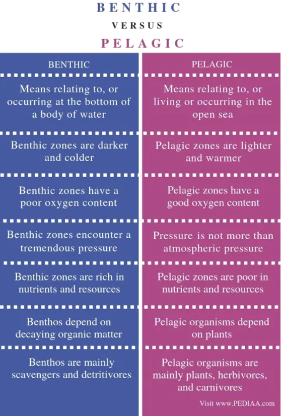 Daily Current Affairs UPSC: News Based MCQs Quiz | 15th October 2025 5 word image 44409 4