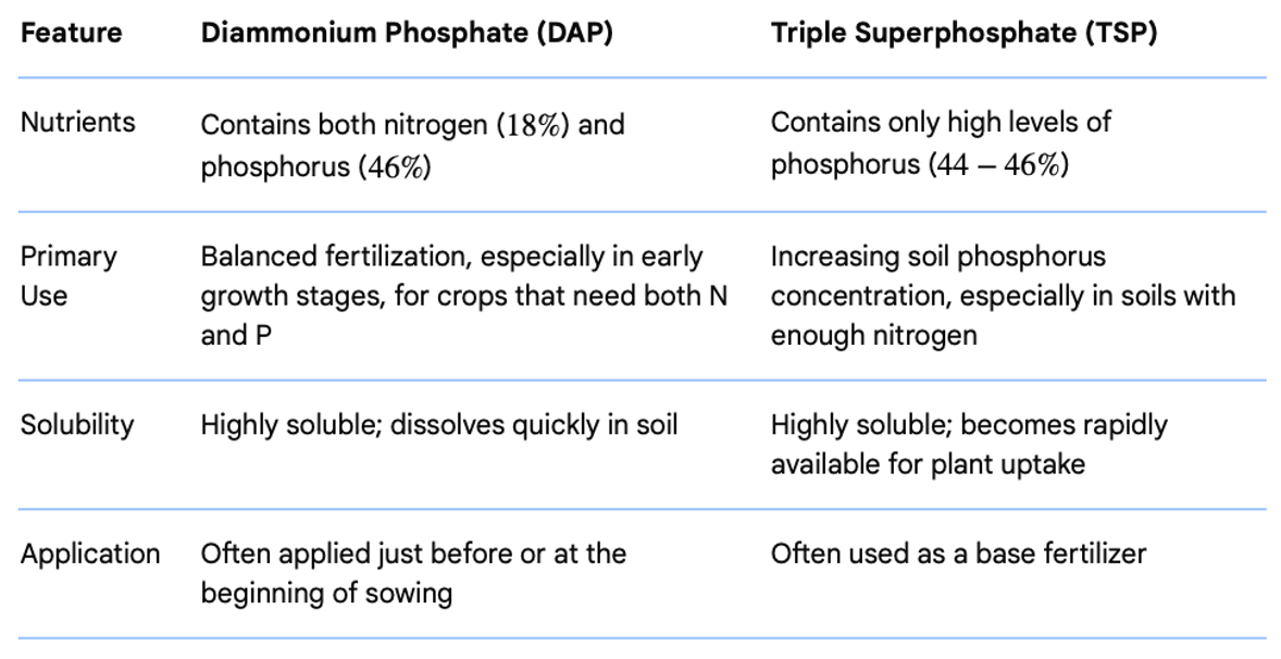 Daily Current Affairs UPSC: News Based MCQs Quiz | 29th October 2025 4 word image 44626 3