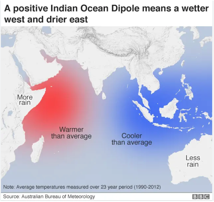 Daily Current Affairs UPSC: News Based MCQs Quiz | 29th October 2025 5 word image 44626 4