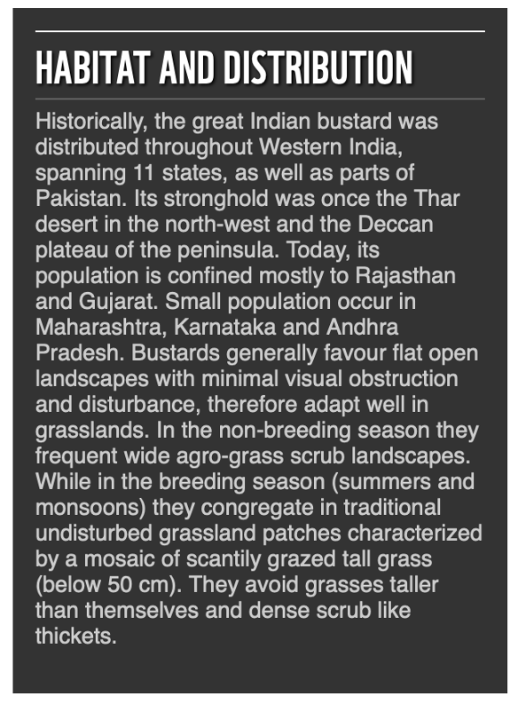 Daily Current Affairs UPSC: News Based MCQs Quiz | 20th December 2025 4 word image 45636 3